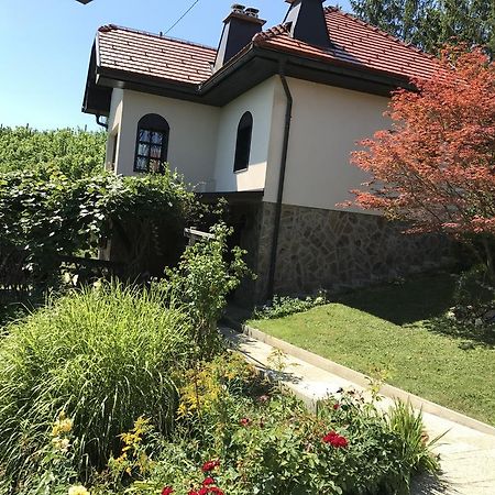 Wine & Nature & Tour Zgornji Leskovec Exteriör bild