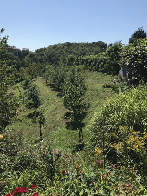 Wine & Nature & Tour Zgornji Leskovec Exteriör bild