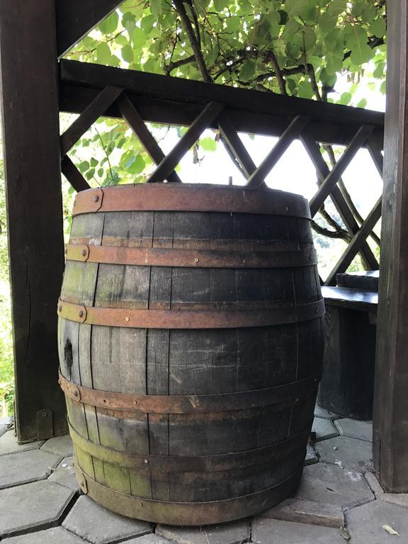 Wine & Nature & Tour Zgornji Leskovec Exteriör bild