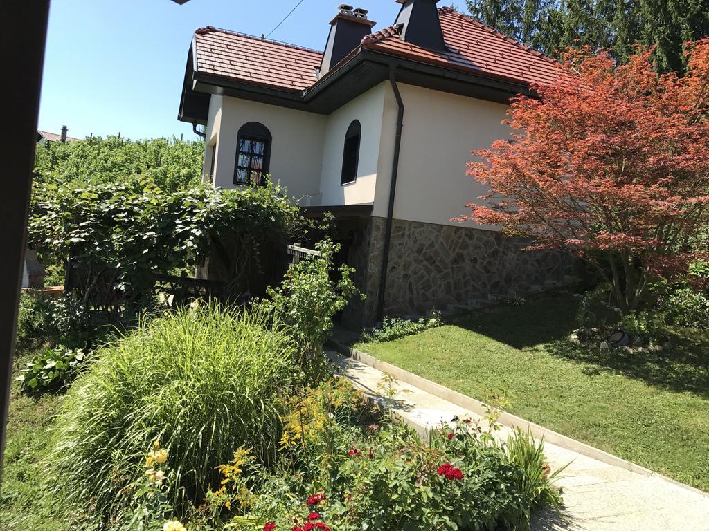 Wine & Nature & Tour Zgornji Leskovec Exteriör bild