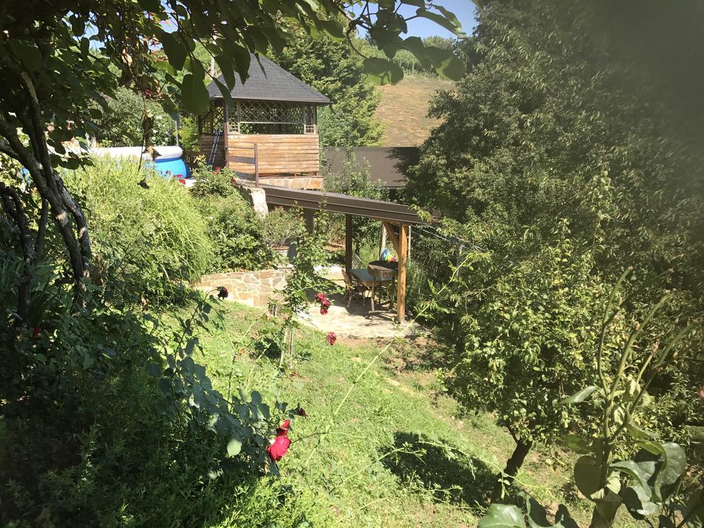 Wine & Nature & Tour Zgornji Leskovec Exteriör bild